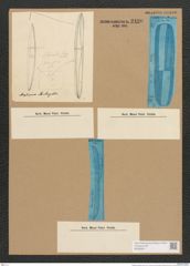 Plagiotropis elegans (de-Toni-Nr.: Genus 30) Zeichnungen Sammlung Grunow Nr. 2490 (NHMW-BOT-W0369811)